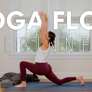 Yoga Flow For Beginners |  Intro To Flow